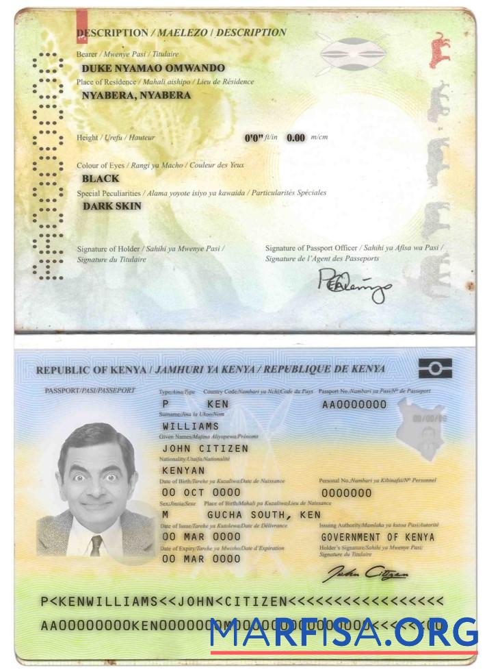 Downloadable Kenya passport (2017 present) example